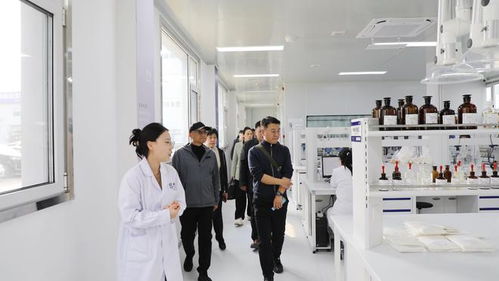 一株海藻的數字化革命 信息技術咨詢如何重塑傳統食品產業