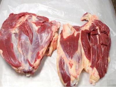鮮到服務 鮮肉配送行業的革新與生活智慧的融合