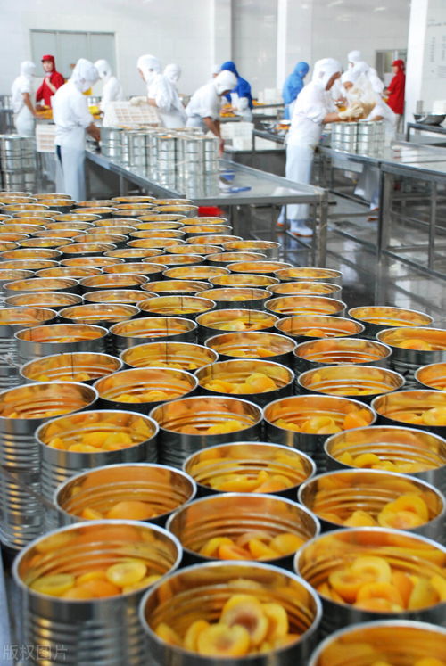 某罐頭廠食品加工廢水COD超標原因分析及治理對策——以水果配送環節為切入點
